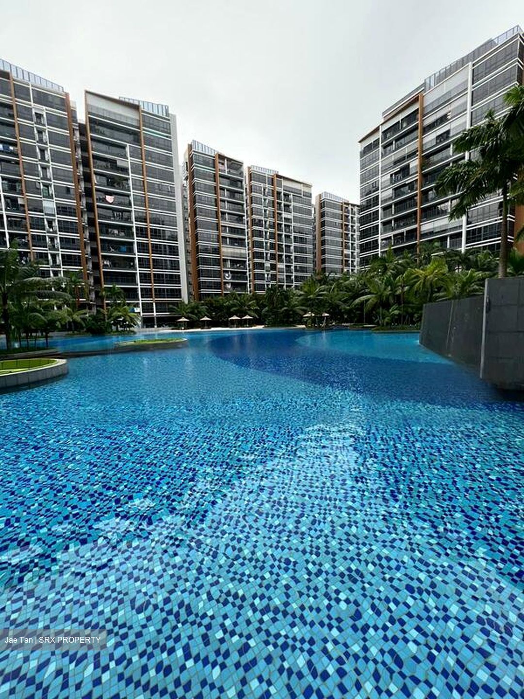 Coco Palms (D18), Condominium #462150501